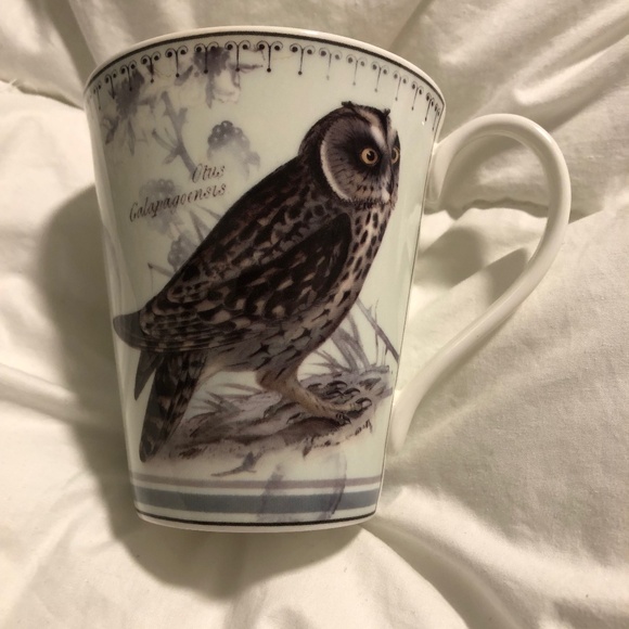 Aynsley owl mug, fine bone china NEW - Picture 1 of 4
